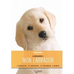 Mon Labrador