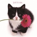 Carte postale représentant un chat noir et blanc