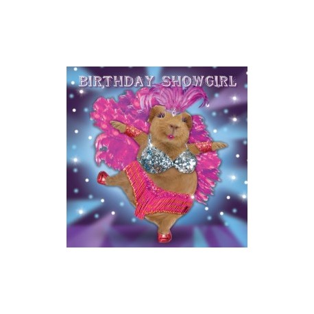Carte postale représentant un cochon d'Inde frou frou