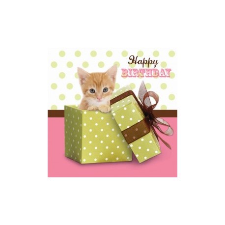 Carte postale représentant le chat cadeau