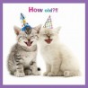 Carte postale représentant le fou rire des chatons