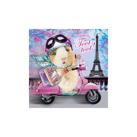 Carte postale représentant paris scooter pour le cochon d'Inde