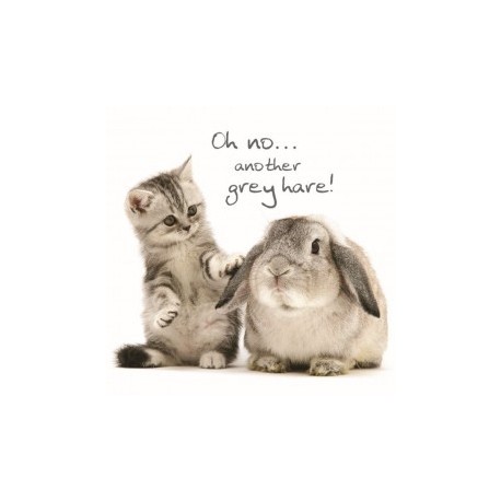 Carte postale représentant lapin gris et chaton gris