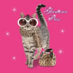 Carte postale représentant le chat glamour