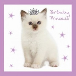 Carte postale représentant le chat prince