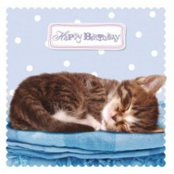 Carte postale représentant le doux sommeil du chaton