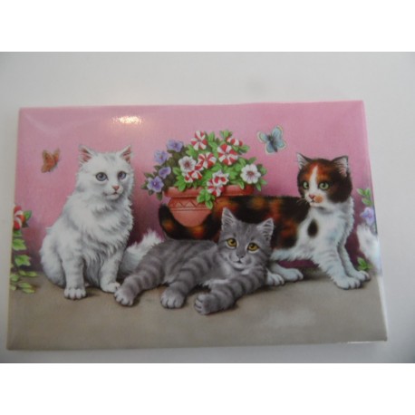 Magnet représentant trois chatons dans les fleurs sur fond rose