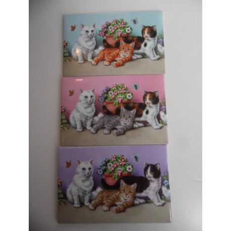 Lot de 3 magnets représentant trois chatons dans les fleurs sur trois fonds différents