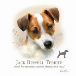 Carte postale représentant un portrait sépia de jack russell terrier 