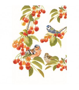 OISEAUX DU PRINTEMPS. Torchon décoratif représentant les oiseaux du printemps