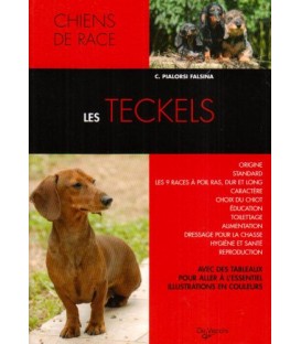 les teckels - collection chien de race