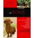 les teckels - collection chien de race