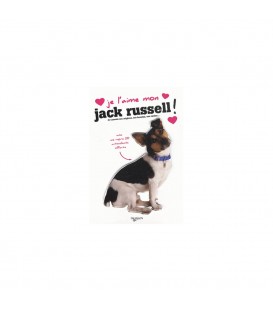 Je l'aime mon Jack russell terrier