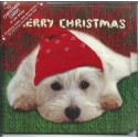 10 Cartes de Noël Westie et leurs enveloppes
