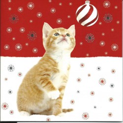 Série de 10 cartes postales (2 modèlesx5) Joyeux Noël Chat