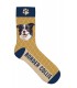 Chaussettes border collie - taille 36/41