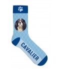 Chaussettes cavalier king Charles - taille 36/41
