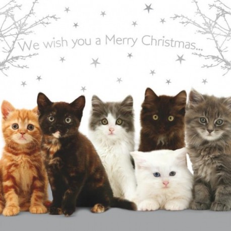 10 Cartes Noël "chatons" et leurs enveloppes