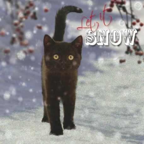 10 Cartes Noël "chaton noir" et leurs enveloppes