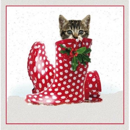 10 Cartes Noël "chat botté" et leurs enveloppes