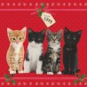 10 Cartes Noël "chatons de Noël" et leurs enveloppes