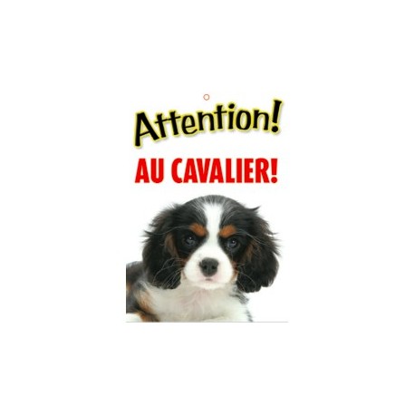 Panneau "Attention au cavalier King Charles"