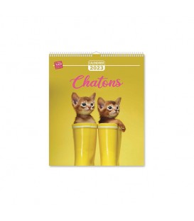 CALENDRIER 2022 TENDRES CHATONS