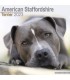 American staffordshire terrier 2022