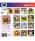 CAVALIER KING CHARLES 2024 - CALENDRIER AFFIXE