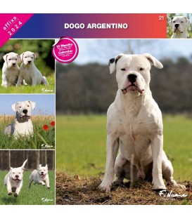 DOGO ARGENTINO 2024 - CALENDRIER AFFIXE