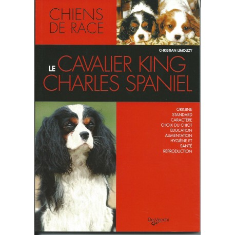 Le cavalier king Charles