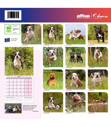STAFFORDSHIRE BULL TERRIER 2024 - CALENDRIER AFFIXE