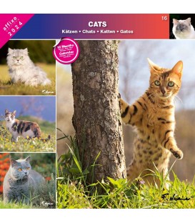 CHATS 2024 - CALENDRIER AFFIXE