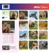 BEBES ANIMAUX 2022- CALENDRIER AFFIXE