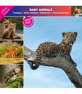 BEBES ANIMAUX 2024- CALENDRIER AFFIXE