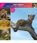 BEBES ANIMAUX 2024- CALENDRIER AFFIXE