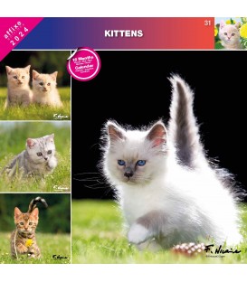 CHATONS 2024 - CALENDRIER AFFIXE