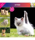 CHATONS 2024 - CALENDRIER AFFIXE