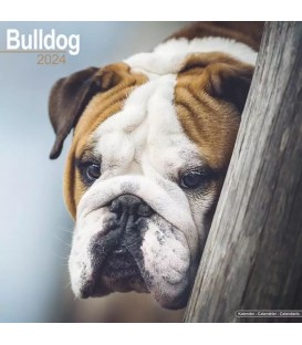 Bulldog 2025