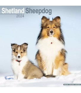 Shetland 2024
