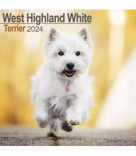 West Highland White terrier 2024
