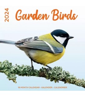 Oiseaux du jardin 2024