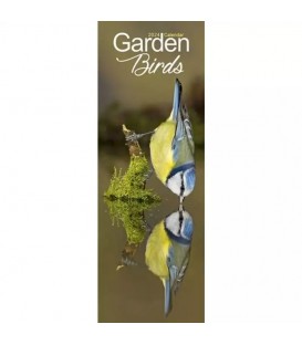 Oiseaux du jardin (calendrier étroit) 2024