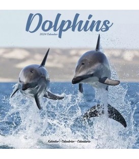 Dauphins 202' - National Géographic