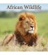 Animaux sauvages d'Afrique 2024