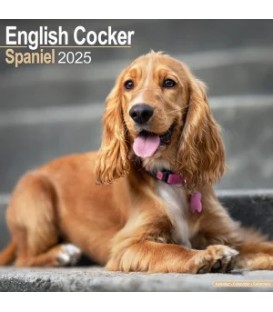 Cocker Anglais 2025