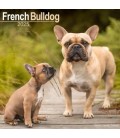 Bouledogue Français 2025