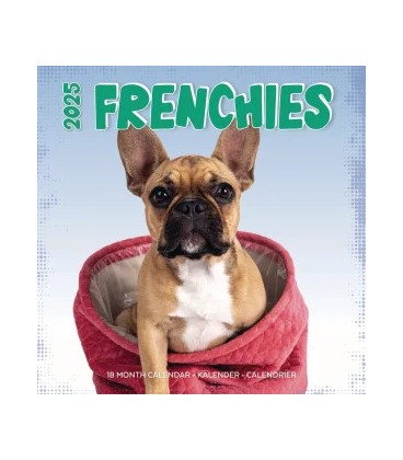 Chiots bouledogue français 2024