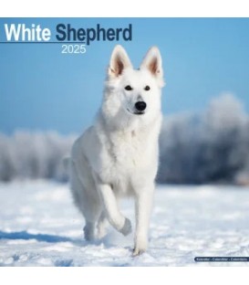 Berger Blanc Suisse 2024