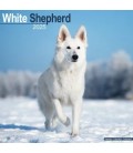 Berger Blanc Suisse 2025